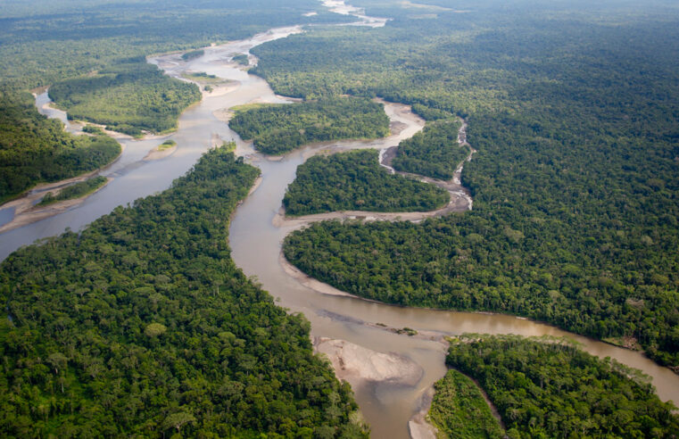 Pesquisadores destacam inovação científica para proteger o meio ambiente no Amazonas
