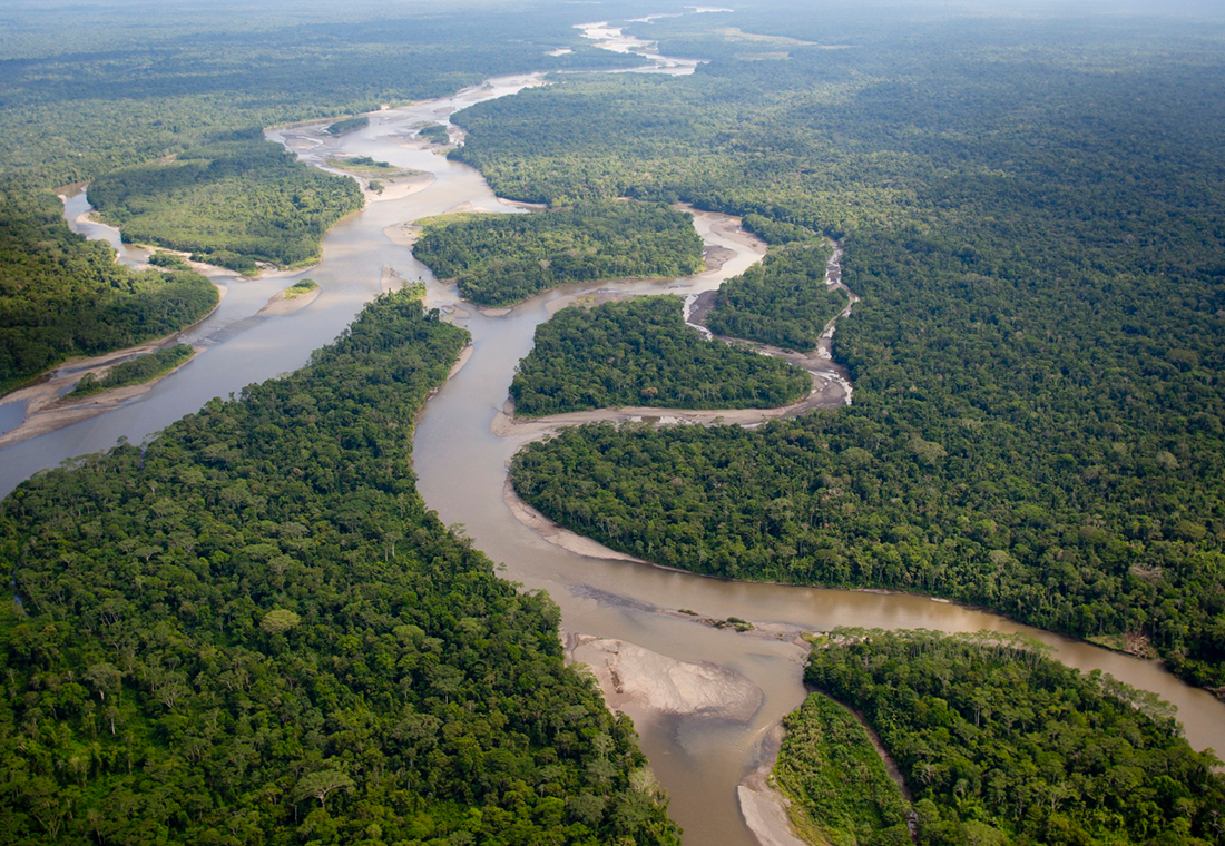 Pesquisadores destacam inovação científica para proteger o meio ambiente no Amazonas