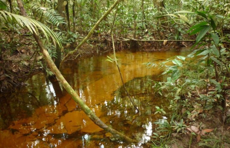 Pesquisa apoiada pelo Governo do Amazonas analisa fontes de água e possíveis alterações relacionadas à urbanização