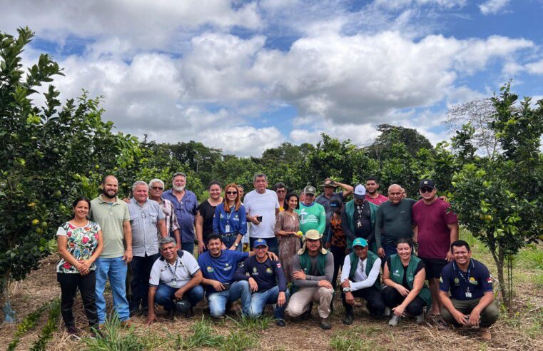 Em Iranduba, Idam divulga boas práticas sobre a citricultura para agricultores familiares